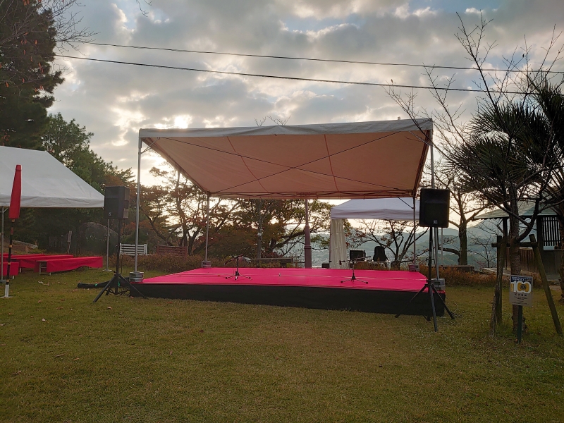 パンチカーペット