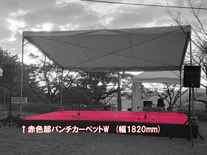 パンチカーペット