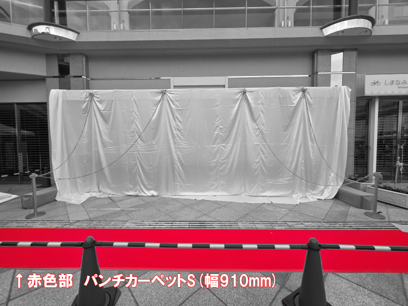 パンチカーペットS