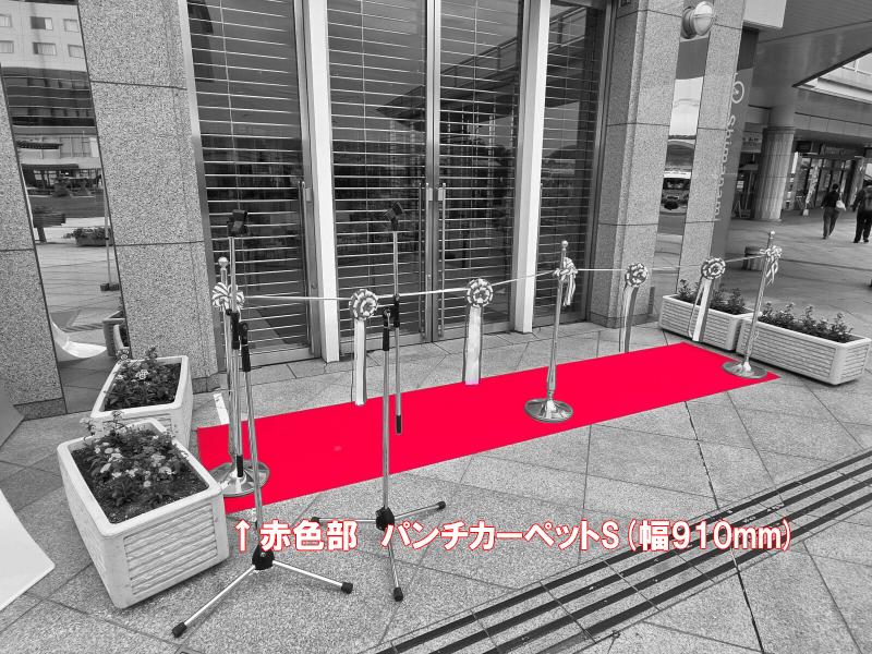 パンチカーペットS